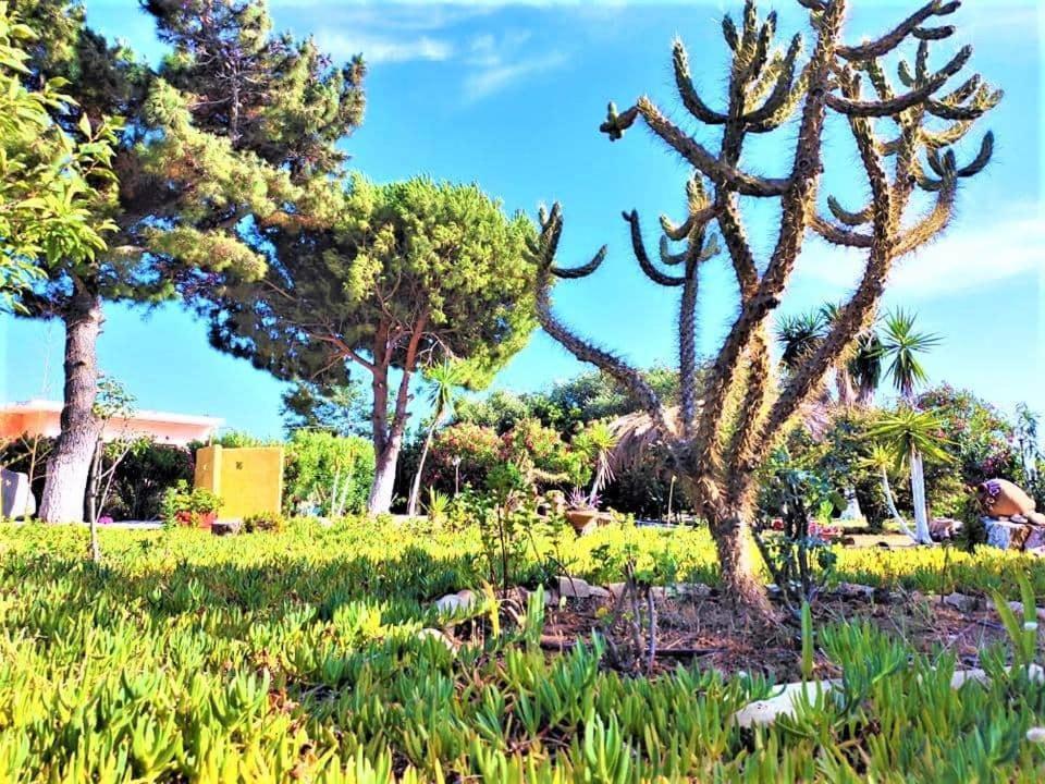 Apartamento TETRAKTYS estate Ágios Matthaíos Exterior foto